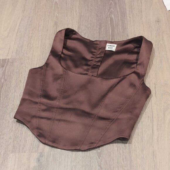 Aritzia Shiloh Brown Satin Corset Top - Picture 4 of 10